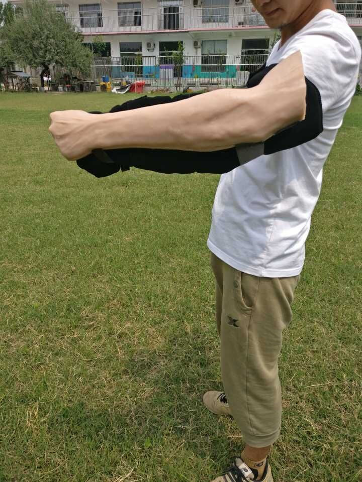 警犬实战假体 FY-JQY-X3