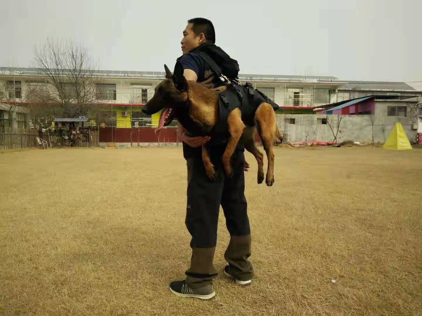 携行背包升级款