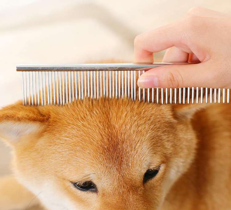 排梳针梳
