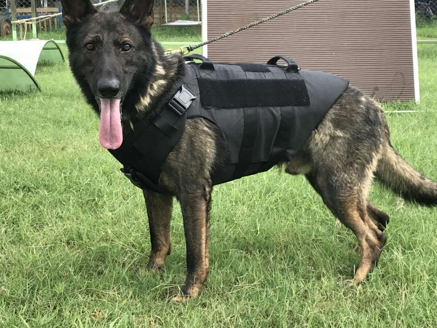犬用防弹衣