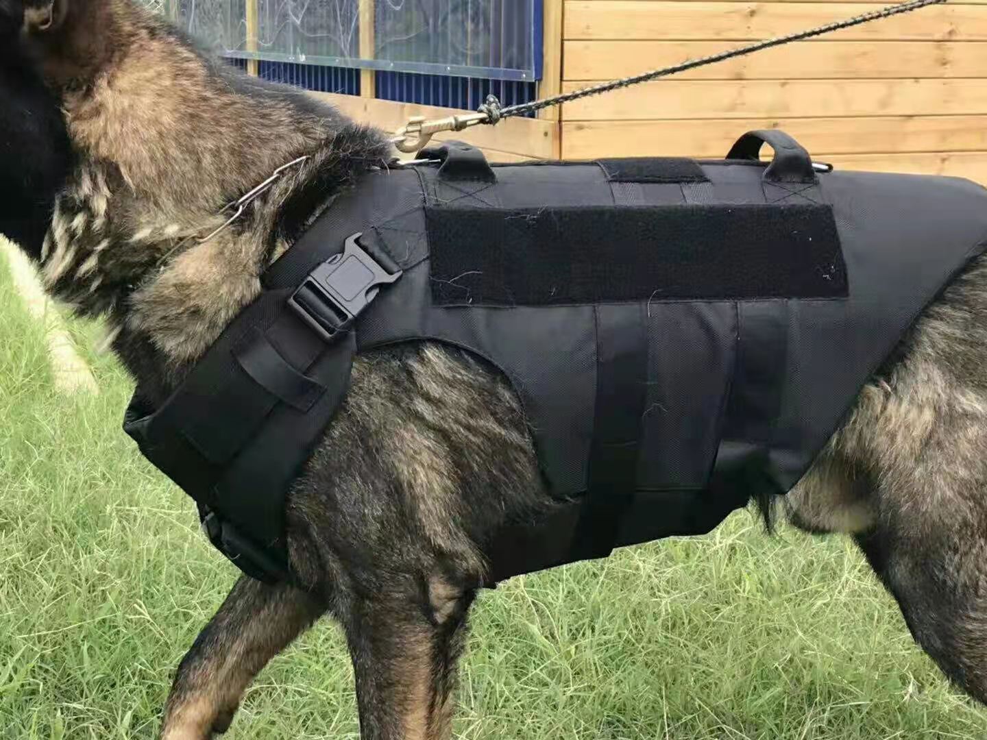 犬用防刺衣