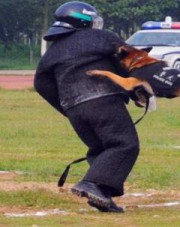 KNPV牛皮内甲扑咬服