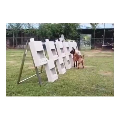 气味柜   FY-JQXL-QWG