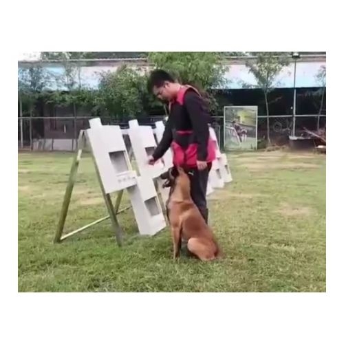 气味柜   FY-JQXL-QWG